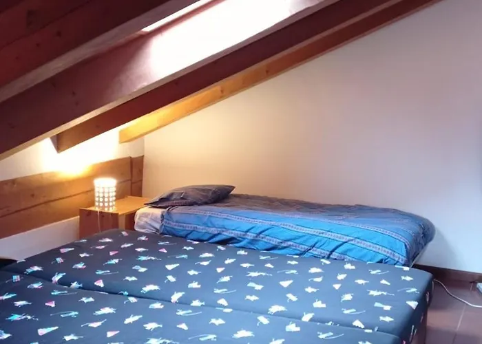 Con Box Auto E Ripostiglio Sci *